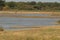 RSPB Minsmere looking towards the Konik ponies