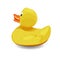 Rubber bath duck isolated on white background.