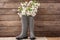 Rubber boots with blossoming branches against wooden wall