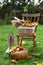 Rubber boots, chair, pumpkin and apples on green grass outdoors. Autumn atmosphere