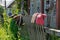 Rubber boots drying on the fence