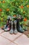 Rubber Boots Near Flowers Marigold In Garden