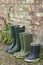 Rubber Boots In Row