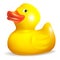 Rubber duck