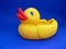 Rubber Duck