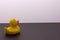 Rubber duck