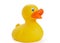 Rubber duck