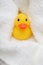 Rubber Duck after bath wrapped in towel