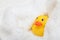 Rubber Duck after bath wrapped in towel