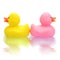 Rubber duck couple