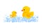 Rubber duck family in soap foam isolated in white background. Side view of yellow plastic duck toys in suds, parent and