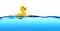 Rubber duck float