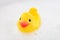 Rubber duck in foam water