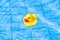 Rubber duck. Funny kids inflatable toy float in blue water of summer pool. Summer concept background