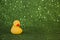 Rubber duck on glittering green background