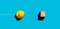 Rubber duck moves towards the percent symbol. Price discount, sale, business investment, mortgage or tax deduction