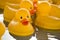 Rubber Ducks 5