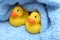 Rubber Ducks after bath wrapped in towel