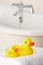 Rubber ducks in bathroom