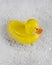 Rubber Ducky bathtime