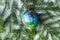 Rubber globe spruce branches, christmas tree texture or background on a white table. New Year. Flat lay, top view.