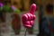 Rubber hand on a stick of a tourist guide