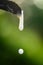 Rubber latex drop from a rubber tree