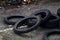 Rubber Motor Bike & Car Tyre`s Dumped On Waste Ground Urban City Look