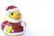 Rubber Santa Clause Duck