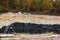 Rubber tire recycling. old used car tires at a junkyard in piles waiting for recycle