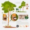 Rubber tree or Hevea brasiliensis with detail infographic elements.Milk of rubber tree. benefit. prodcut from rubber. typographic