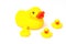 Rubber yellow ducks family