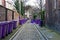 Rubbish bins lined up in narrow alley