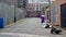 Rubbish bins lined up in narrow alley