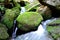 rubble slope in the forest with boulders overgrown with moss between which flows a stream with small cascades and waterfalls, fern