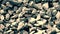 Rubble stones background