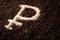 Ruble logotype symbol written on brown ground