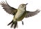 Ruby-crowned kinglet bird. Bird clipart. AI-generated.