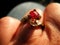 Ruby ring on finger