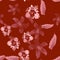 Ruby Seamless Plant. Coral Pattern Foliage. Pink Tropical Botanical. Scarlet Flower Palm. Brown Flora Exotic.