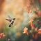 Ruby-throated Hummingbird (archilochus colubris) in flight with orange flowers in the background