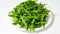 Rucola salad italien green,light food vegetarian