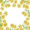 Rudbeckia yellow pattern frame