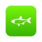 Rudd fish icon digital green