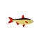 Rudd fish icon in flat style