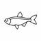 Rudd fish icon, outline style