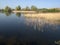 Rudd lake, Little Paxton nature reserve