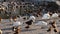 Ruddy shelduck, piebald and ducks swim in thawed areas on a lake