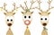 Rudolf the Red Nose Reindeer and Friends
