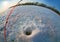 ruff fishing fish-eye lens